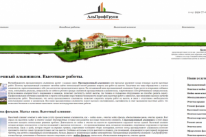 Аудит сайта специалистов по промышленному альпинизму