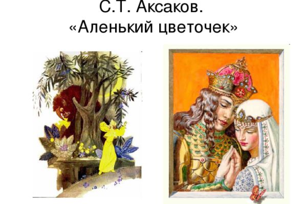 img3310718.png