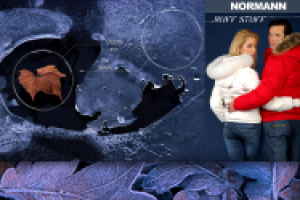 Баннер Normann. CPM. Москва. Вар.1