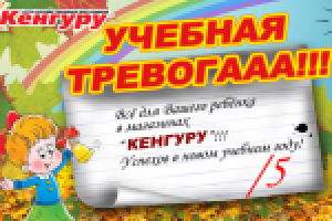 Баннер Кенгуру. Учебная тревога