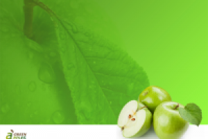 Презентация Green Apples. Шаблон фона слайдов