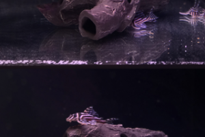 Ретушь фото, зачистка ненужного объекта