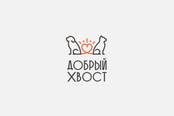 img3916314.png