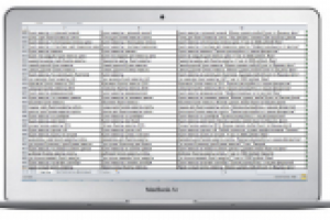 Яндекс Директ "Продажа цветов в интернет магазине"