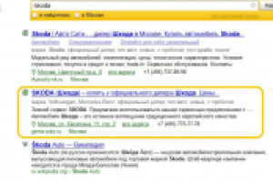 Покупка авмобилей Skoda