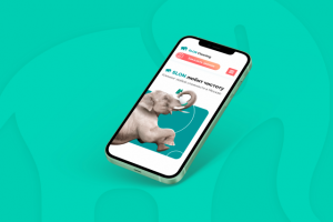 Слон Клининг