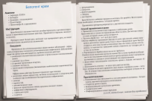 Работа 2513828