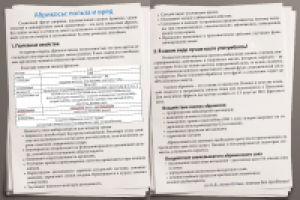 Работа 2513824