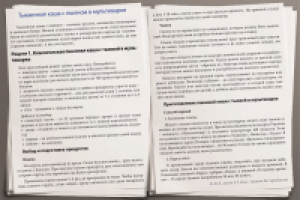 Работа 2513823