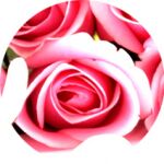 img1526331.png