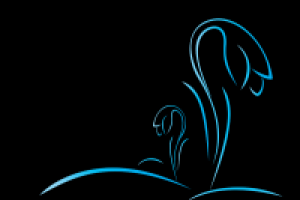 Голубые тюльпаны