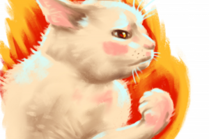 Мемный кот