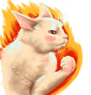 img4038274.png