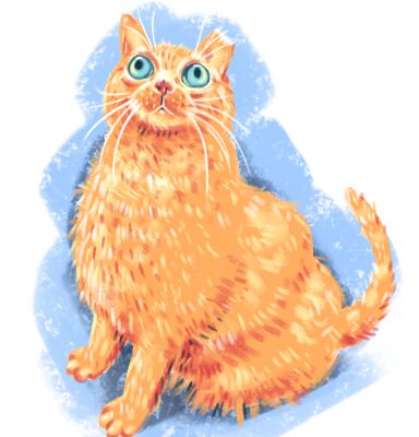 img4038271.png