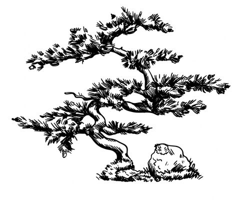 img4038233.png