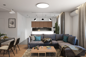 кухня-гостиная