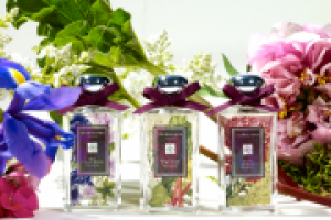 Jo Malone - история ароматов