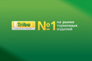 Флеш презентация