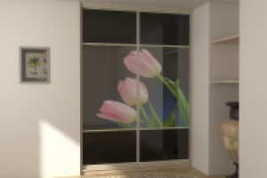 Визуализация фасадов шкафов-купе