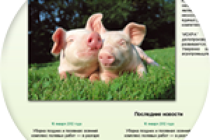 сайт сельхозпродукции