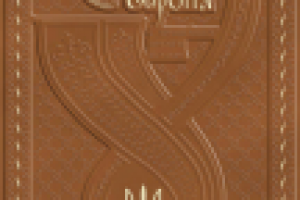 Векторный дизайн обложки книги под тиснение на коже