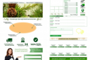 Сайт Бани-Бочки