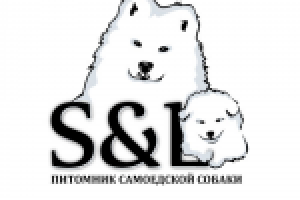 Работа 2734907