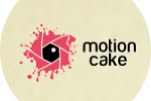 Вариант логотипа