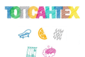 Лого + набор иконок для сайта topsantex.ru