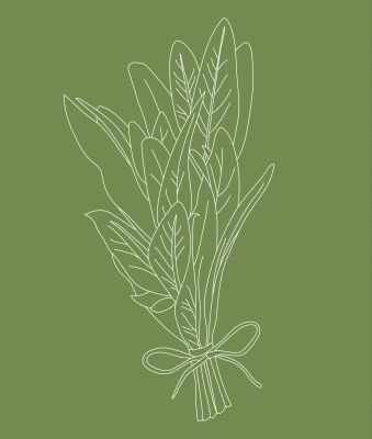 img4192126.png