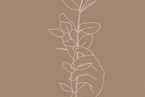 Нежная иллюстрация с веткой