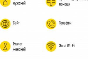 Инфографика