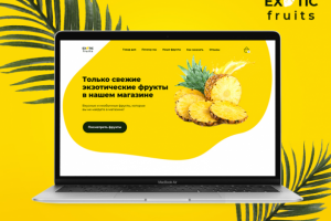 Разработка дизайна лендинга для магазина Exotic Fruits