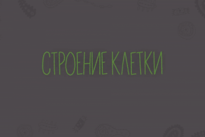 Инфографика "Строение клетки"