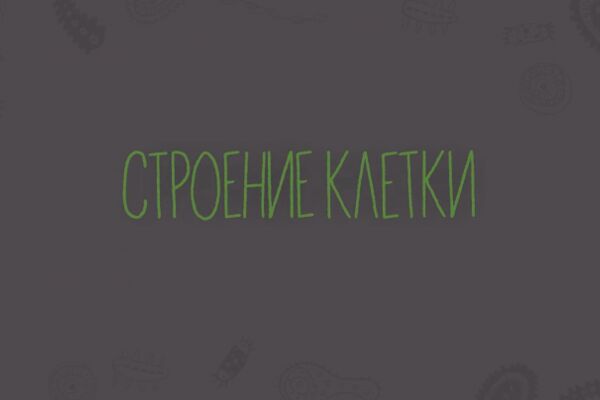 img4243794.png