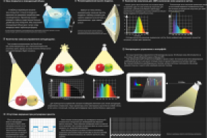 Макет задника коробки для ламп в аквариум