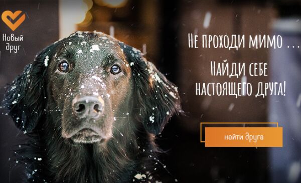img3448609.png
