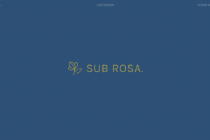 Логотип для косметического бренда