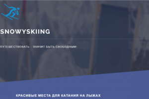 Портфолио