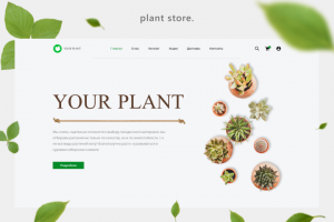 Интернет-магазин растений  - Your Plant