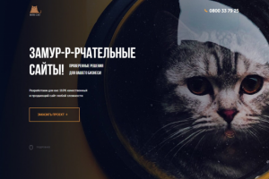 Мой сайт в формате Landing Page