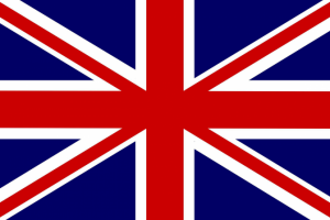 Профессиональные переводы