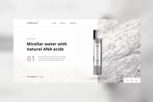 MarbleLab/ Первый экран