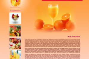 Дизайн сайта импортера соков и фруктов