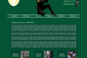 Дизайн сайта охранной компании