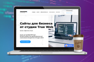 Сайты для бизнеса от студии True Web
