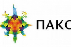 SMM-сопровождение