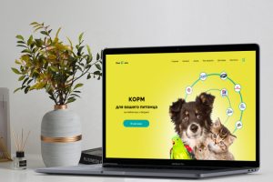 Дизайн главной страницы сайта