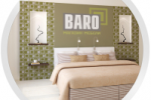 Фирменный стиль и логотип для «Baro».