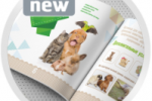 Брошюра для ветеринарной клиники.